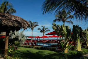 manati_2026_12