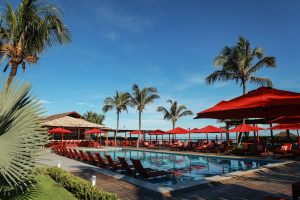 manati_2026_17