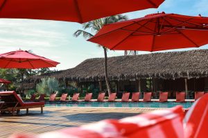 manati_2026_19