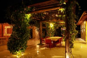 manati_2026_25