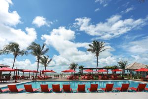 manati_2026_33