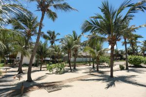 manati_2026_39